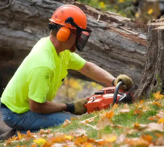 tree services Linden